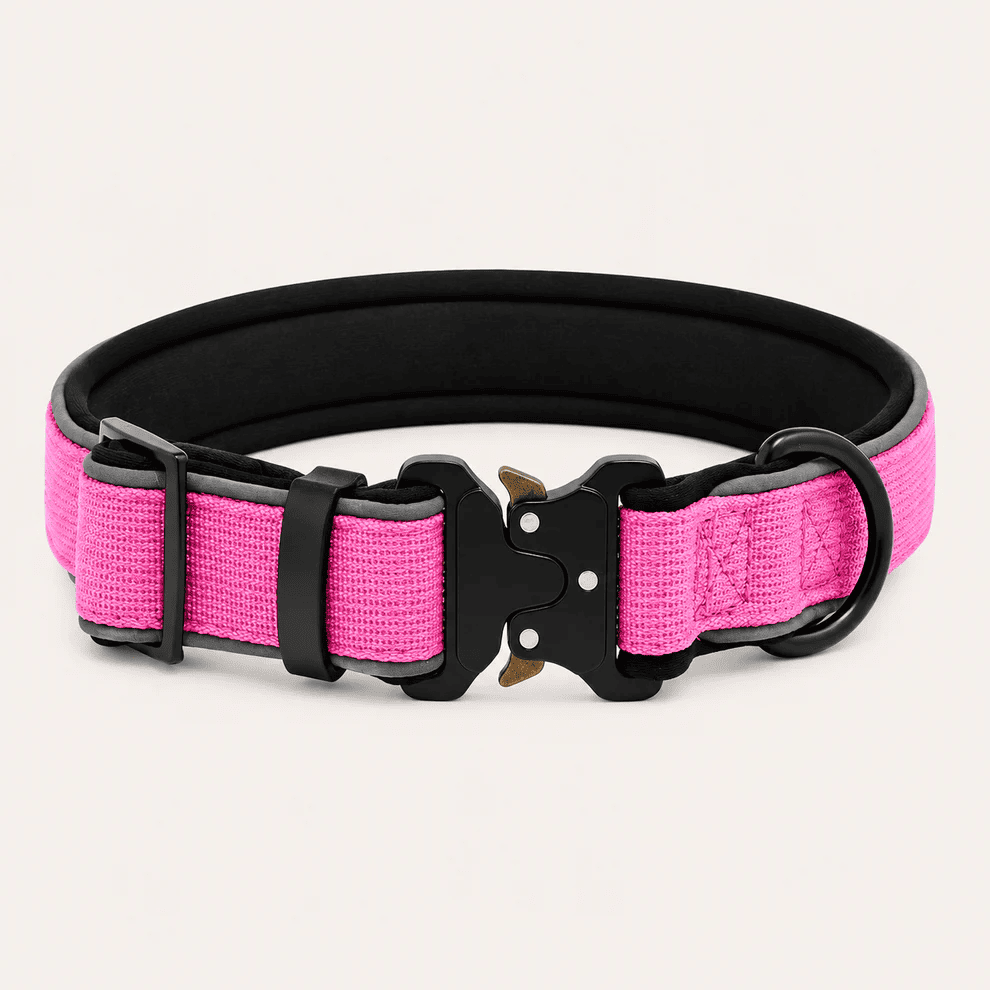 Collar Resistente Nimo Pet