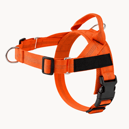 NimoPet Arnés Anti tirones para Perros
