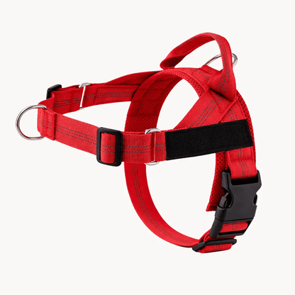 NimoPet Arnés Anti tirones para Perros
