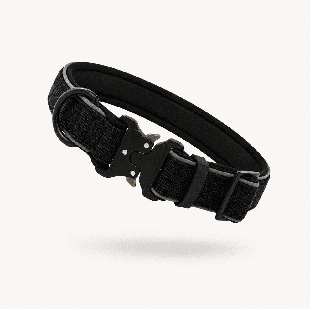 Collar Resistente Nimo Pet