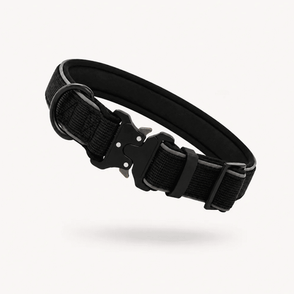 Collar Resistente Nimo Pet
