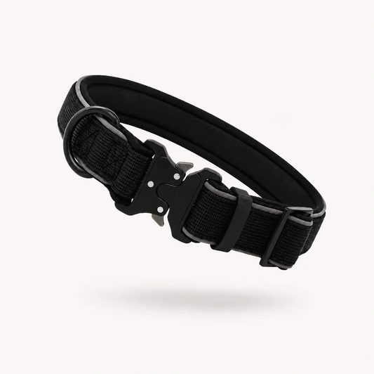 Collar Resistente Nimo Pet