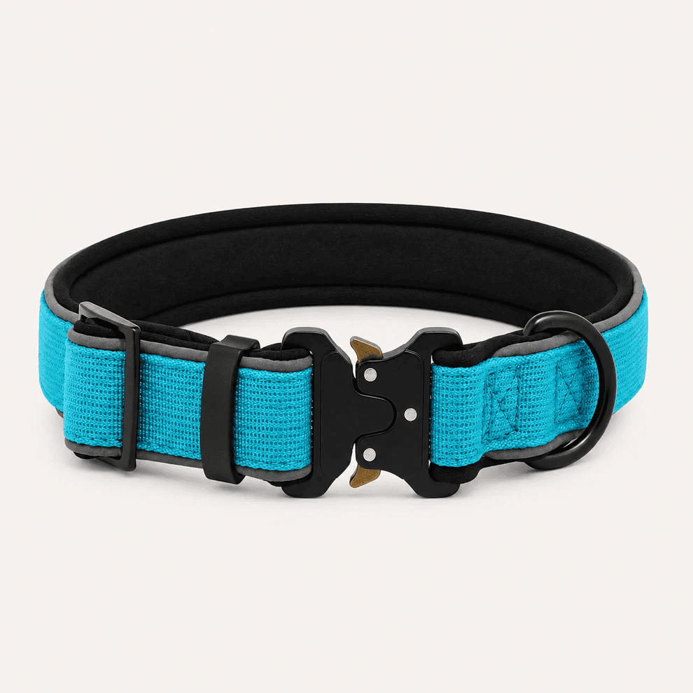 Collar Resistente Nimo Pet
