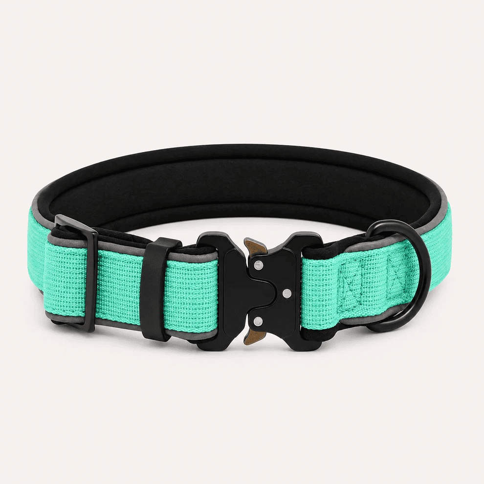 Collar Resistente Nimo Pet