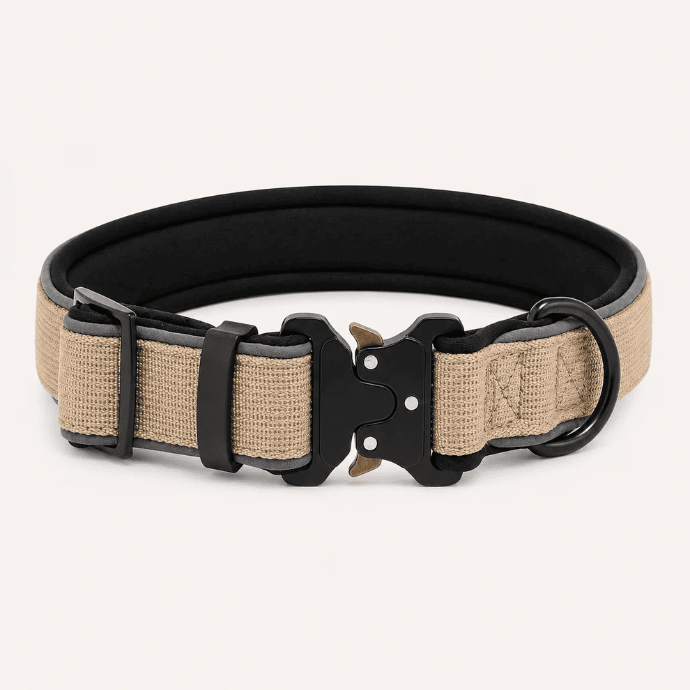 Collar Resistente Nimo Pet