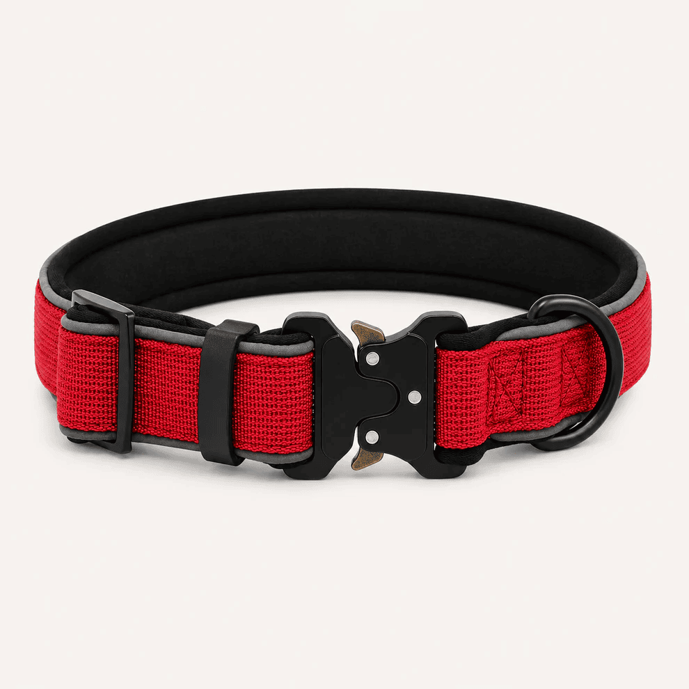Collar Resistente Nimo Pet
