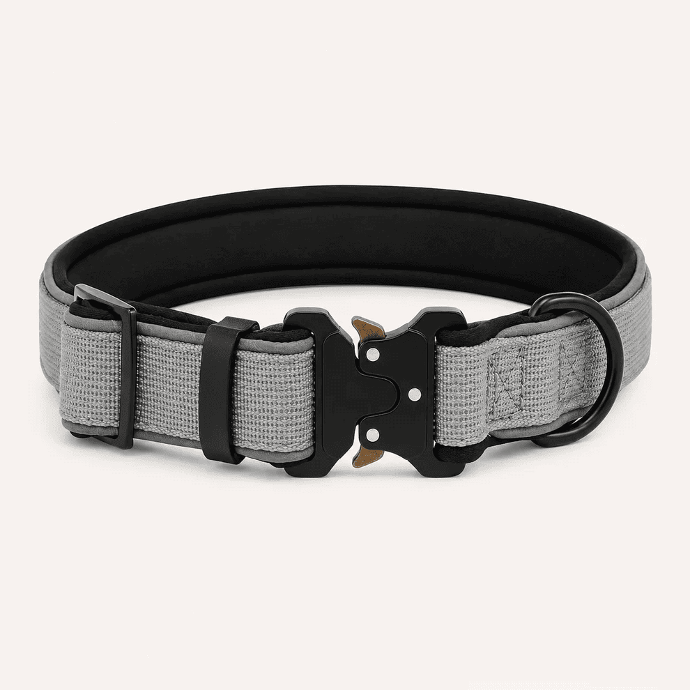 Collar Resistente Nimo Pet