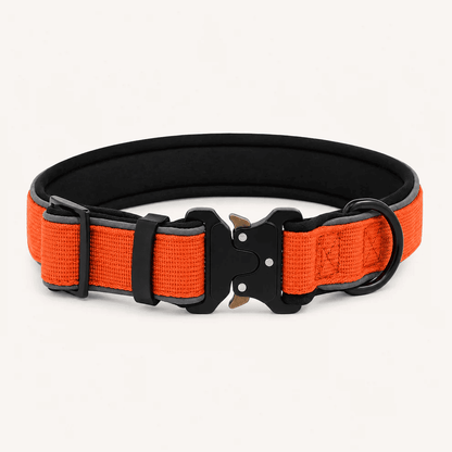 Collar Resistente Nimo Pet