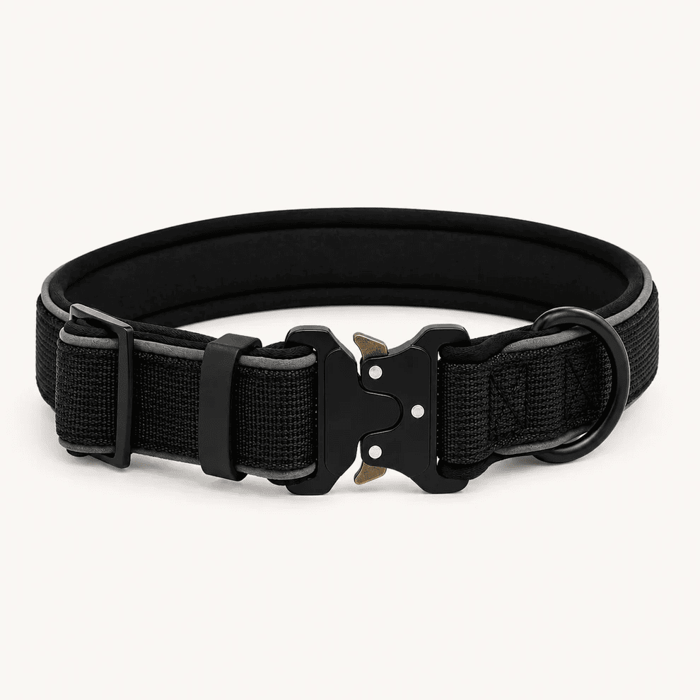 Collar Resistente Nimo Pet