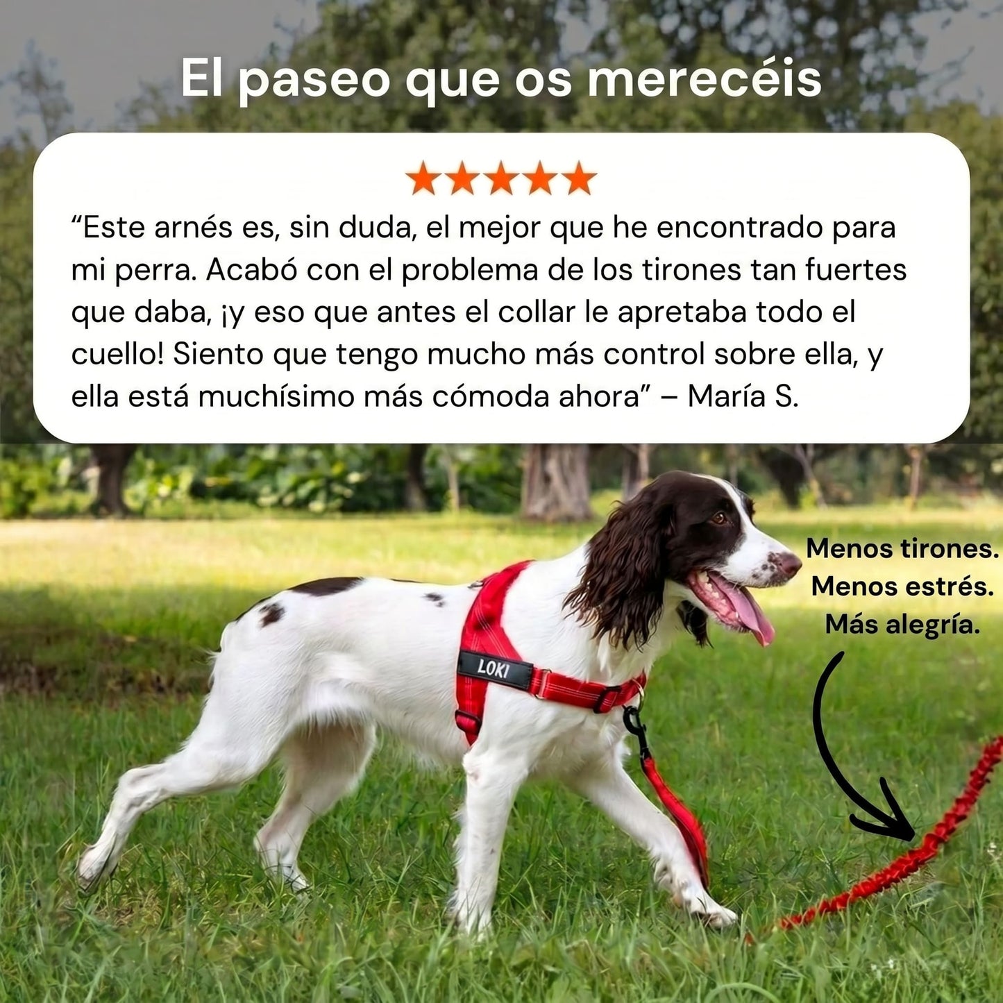 NimoPet Arnés Anti tirones para Perros