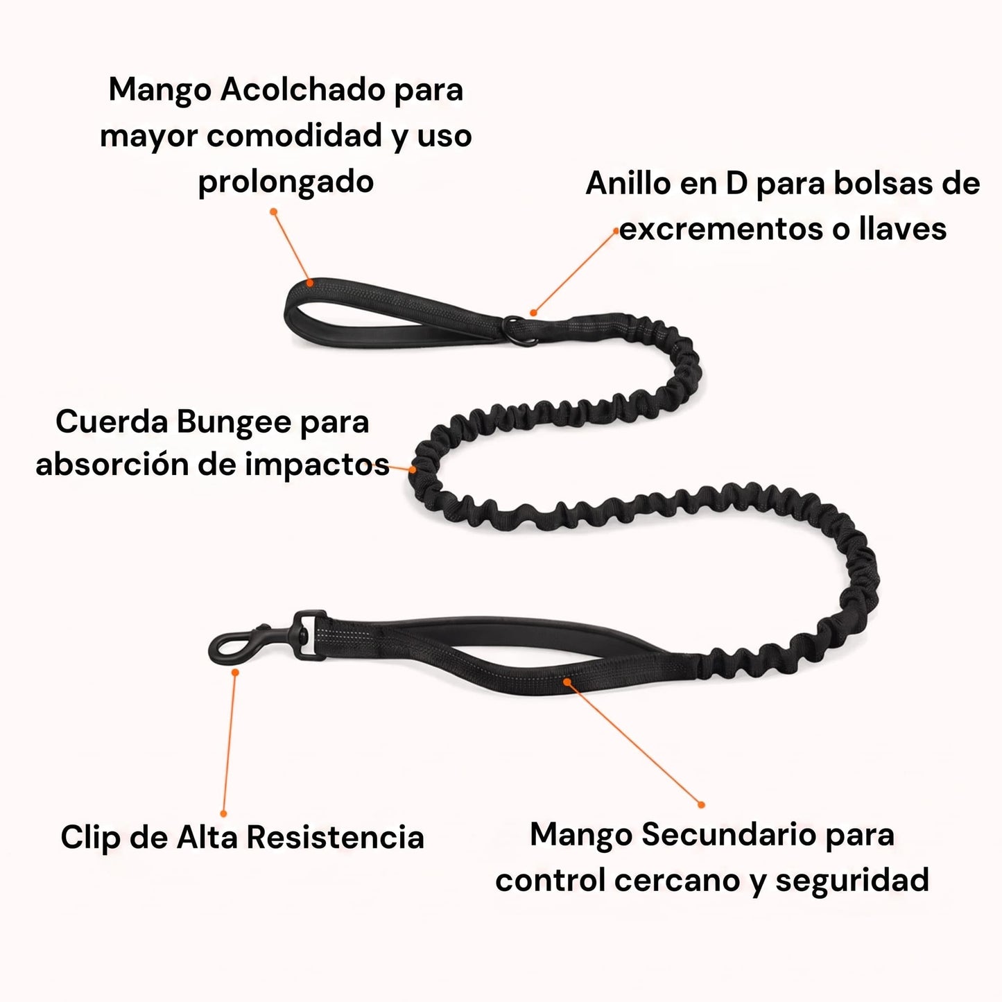 Correa Elástica Nimo Pet