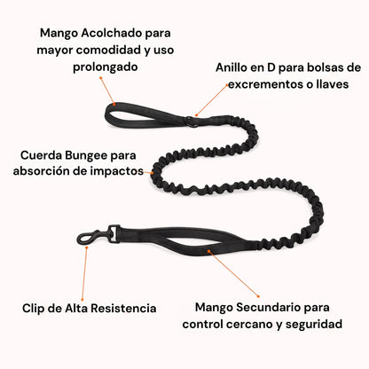 Correa Elástica Nimo Pet